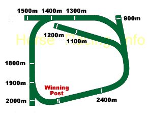 How to get to Rosehill Race Course .